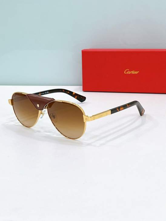 Picture of Cartier Sunglasses _SKUfw79566424fw
